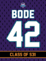 BODE S31.png