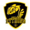 Python's Legacy Logo