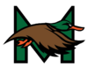Color rush 'Mallard' logo.