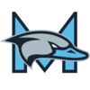 Minnesota Grey Ducks logo