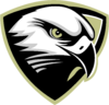 Baltimore Hawks logo