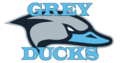 Minnesota Grey Ducks new wordmark.png