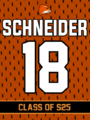Schneider S25.png